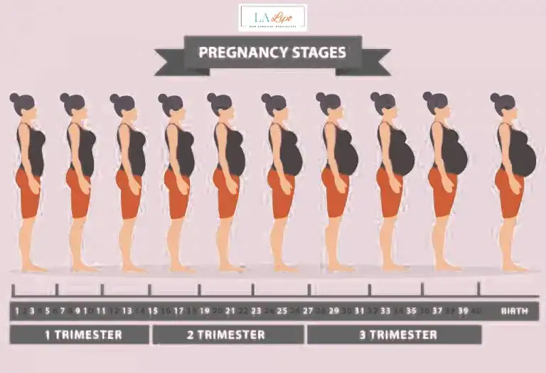 First Trimester (Weeks 1–12): Early Changes You Might Not Notice Macclesfield